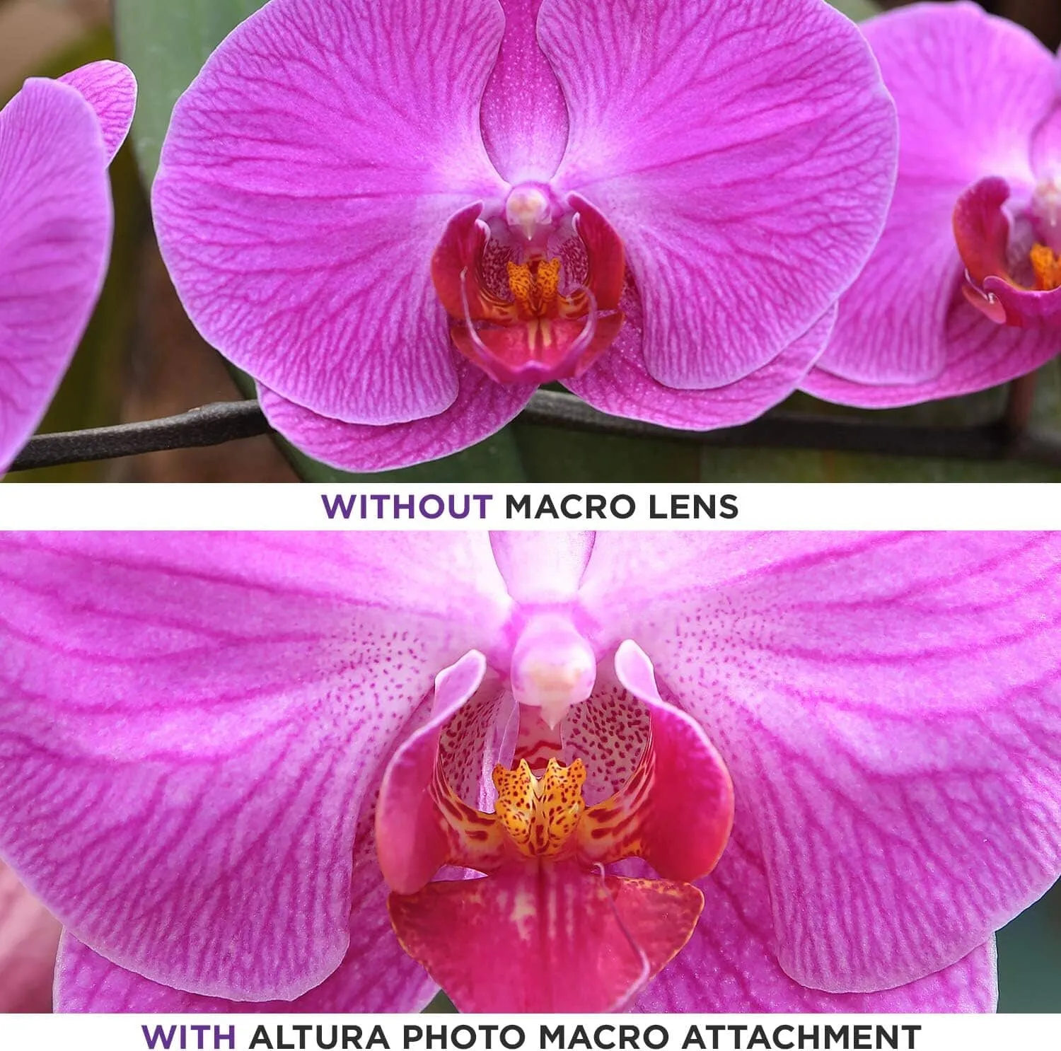 52MM 0.43x Altura Photo Professional HD Wide Angle Lens (w/Macro Portion) for Nikon  (Refurbished)
