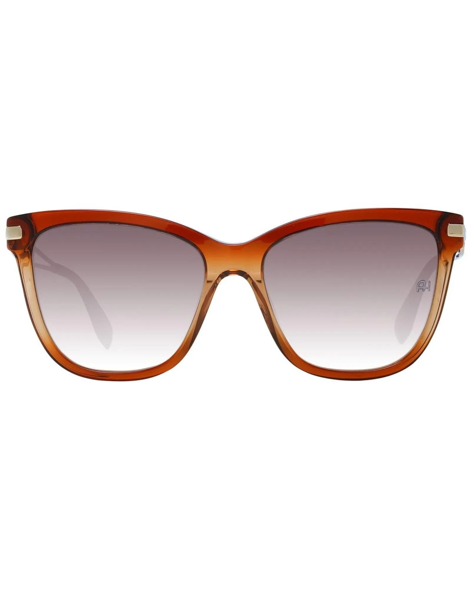 Ana Hickmann Cat Eye Sunglasses AH 7001