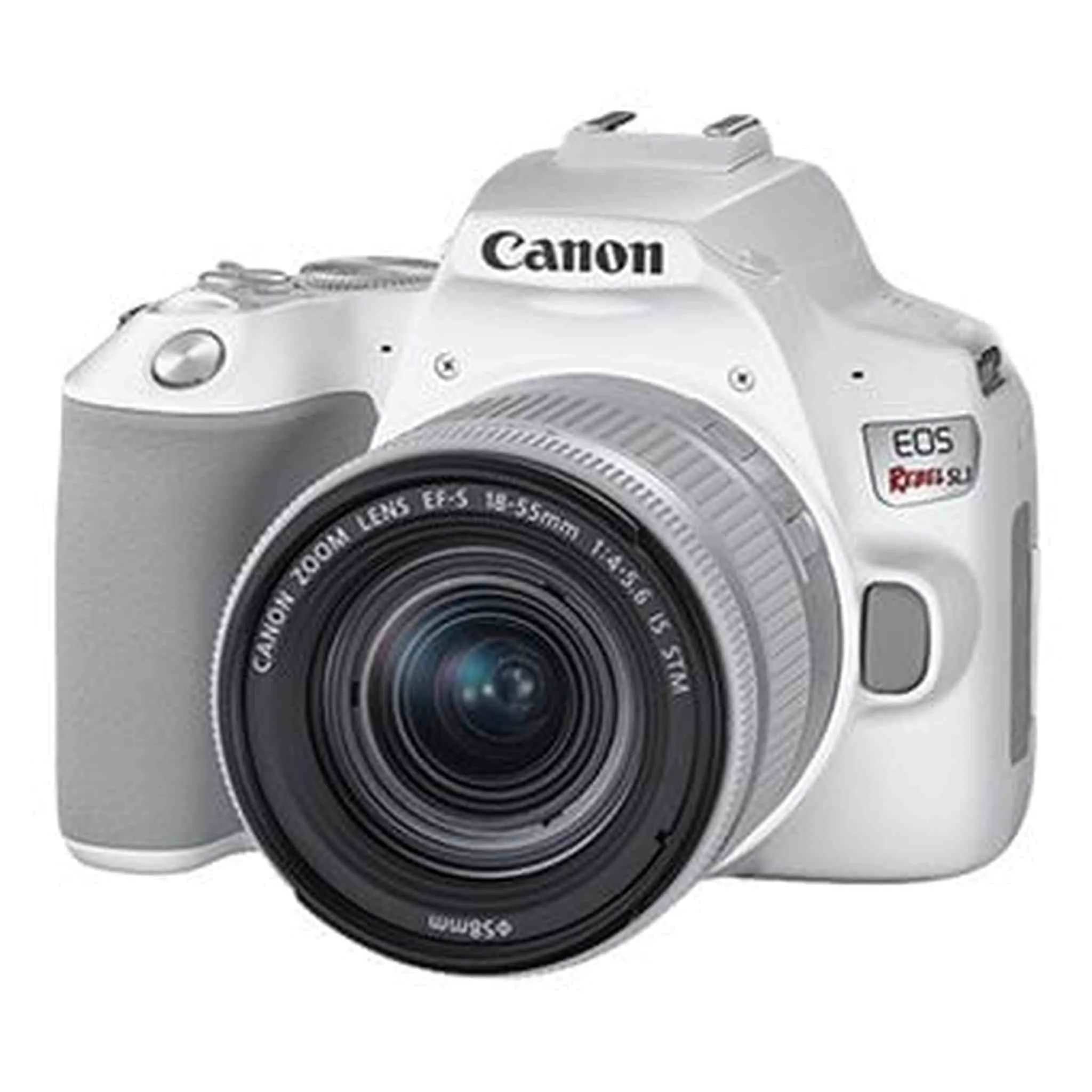 Canon EOS R Mirrorless Digital Camera with 24-105mm Lens
