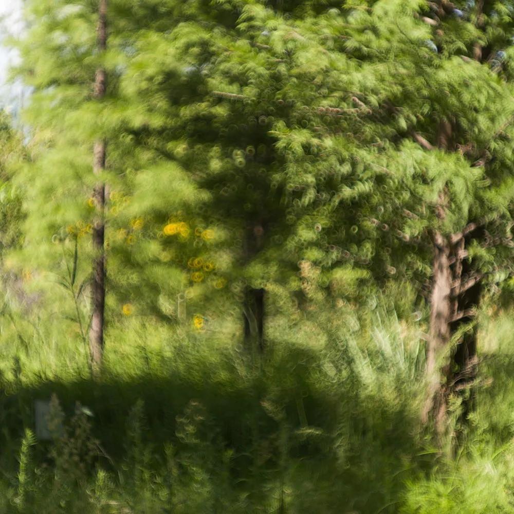Leica Thambar-M 90mm f/2.2