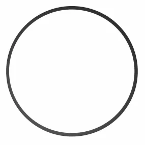 O-Ring 0132.61 for DSLR & Mirrorless Housings (Type 2)