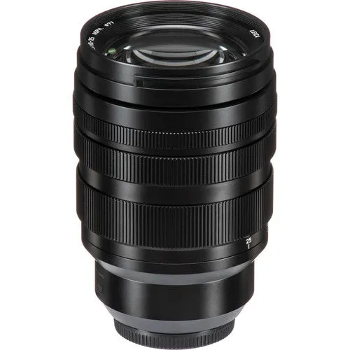 Panasonic MFT 10-25mm F1.7 Leica Lens