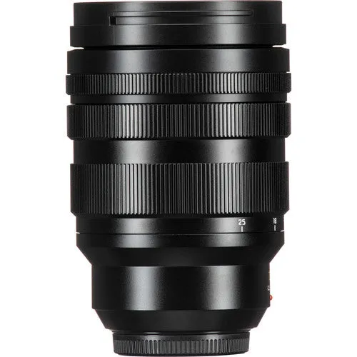 Panasonic MFT 10-25mm F1.7 Leica Lens