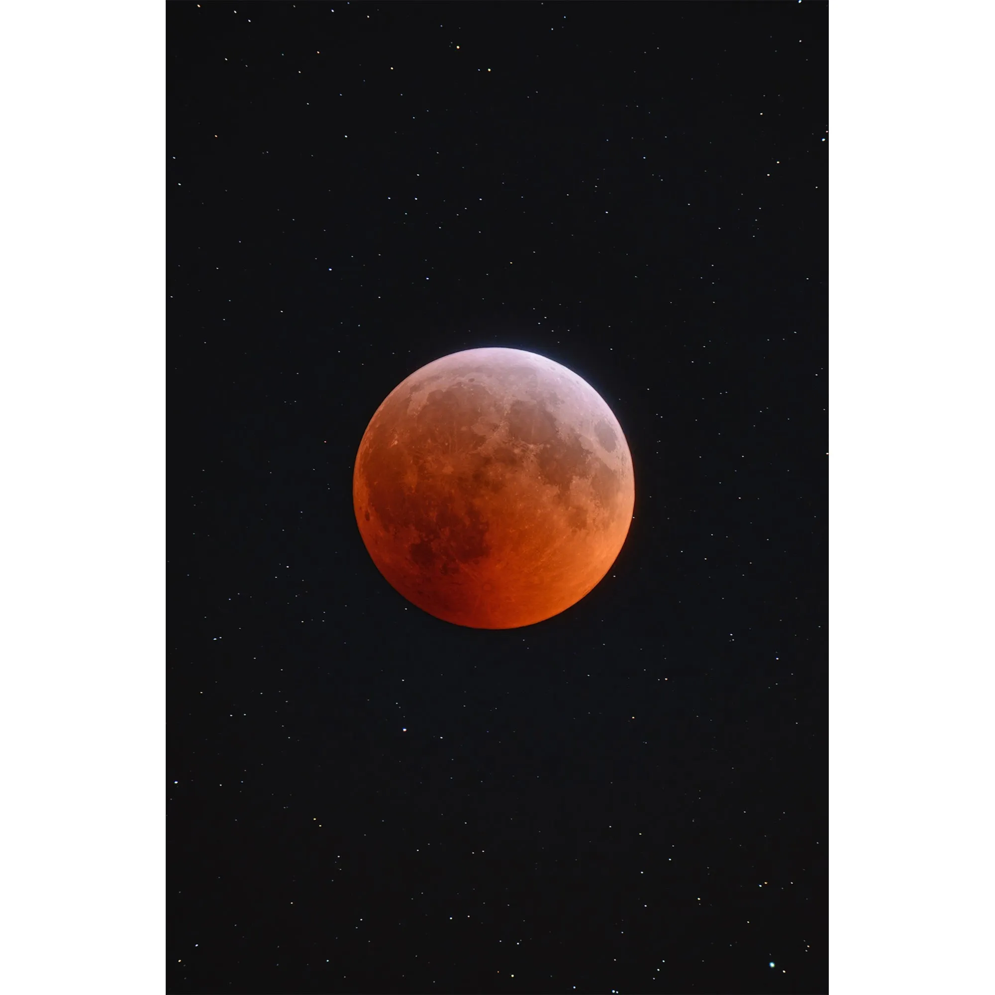 Vixen SD81S FPL-53 ED Refractor Telescope